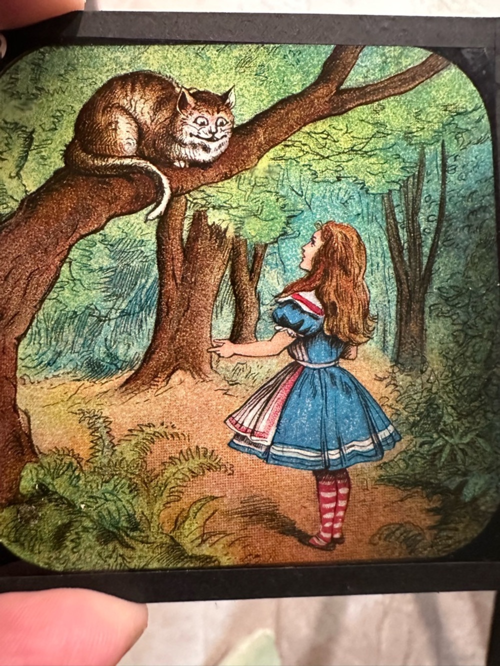 Alice in Wonderland Primus Magic Lantern Slides #777 Chapter II complete set box - Picture 15 of 16